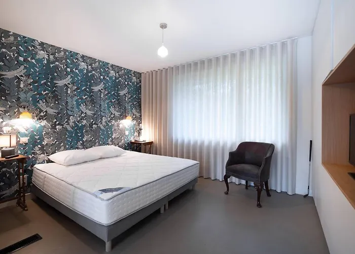 Villa Spacieuse Avec Piscine Privee, Wi-fi, Animaux Admis - Fr-1-821-20